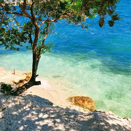 Tona * Trogir